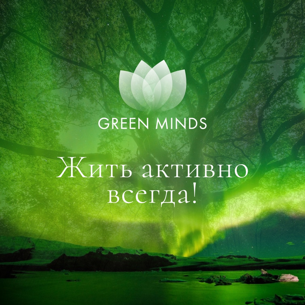 Нейромедитация GREEN MINDS «Жить активно всегда!» - купить в Находке