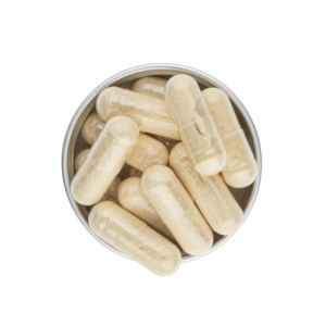БАД с ферментами для пищеварительной системы Welllab DIGESTORIUM, 60 капсул